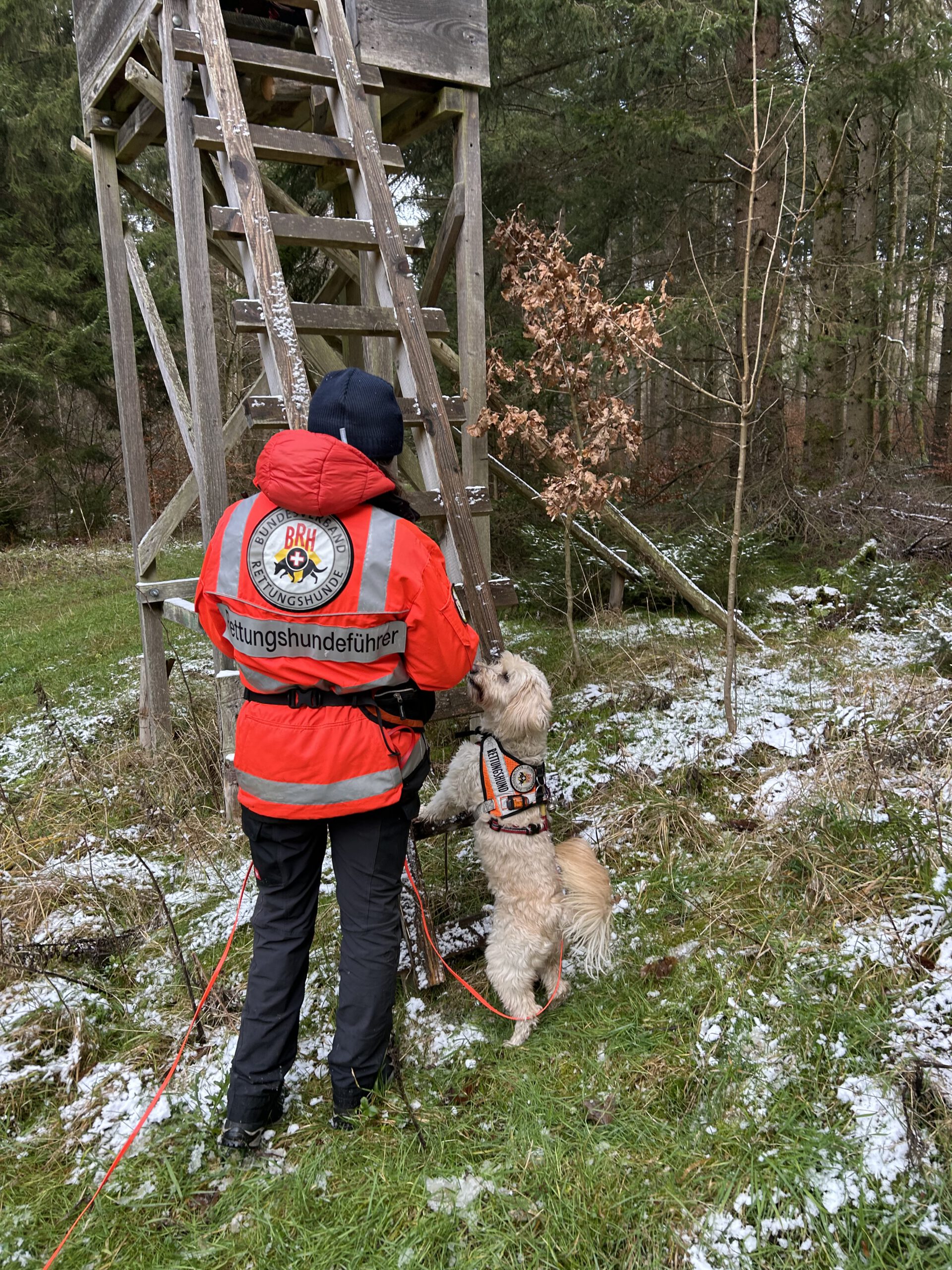 Bild-20241215-114819-d78280ea (1)